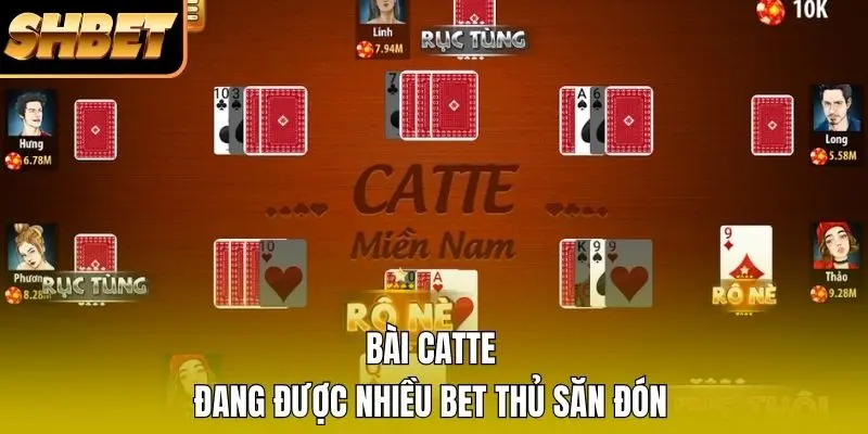 Bài catte đang được nhiều bet thủ săn đón Bài catte đang được nhiều bet thủ săn đón