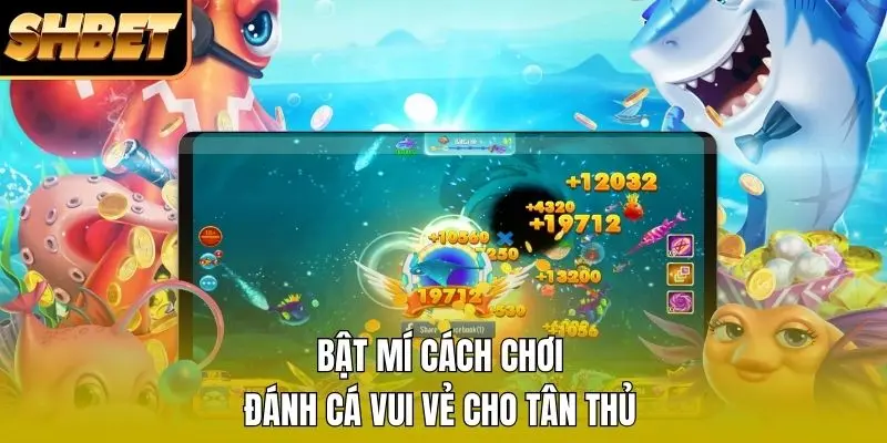 Bật mí cách chơi đánh cá vui vẻ cho tân thủ Bật mí cách chơi đánh cá vui vẻ cho tân thủ