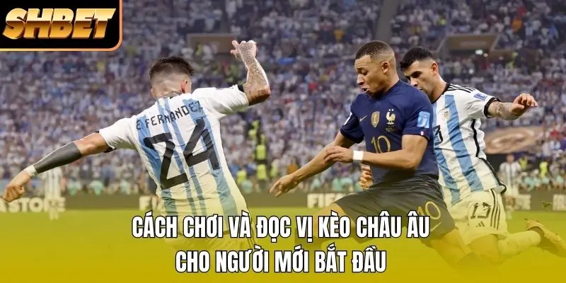 Cách chơi và đọc vị kèo Châu Âu cho người mới bắt đầu Cách chơi và đọc vị kèo Châu Âu cho người mới bắt đầu