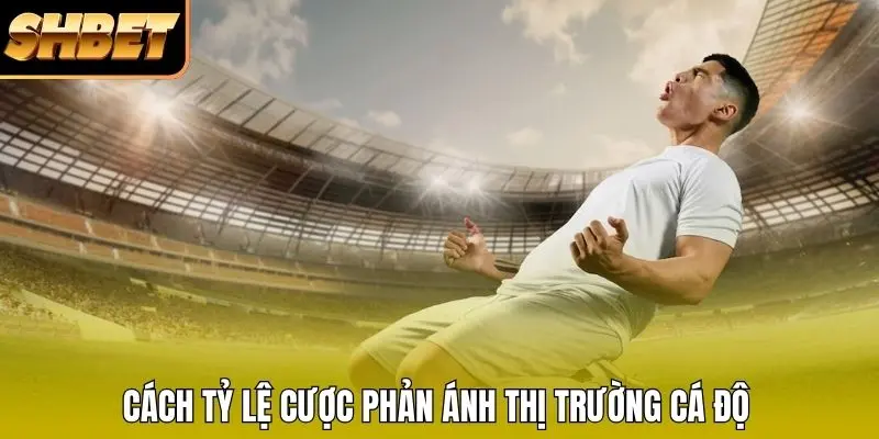 Cách tỷ lệ cược phản ánh thị trường cá độ Cách tỷ lệ cược phản ánh thị trường cá độ