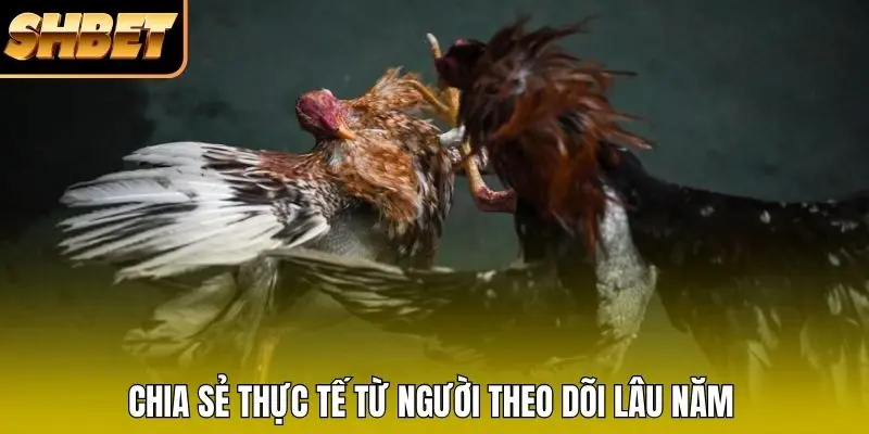 Chia sẻ thực tế từ người theo dõi lâu năm Chia sẻ thực tế từ người theo dõi lâu năm
