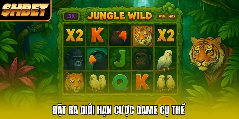 Đặt ra giới hạn cược game cụ thể Đặt ra giới hạn cược game cụ thể