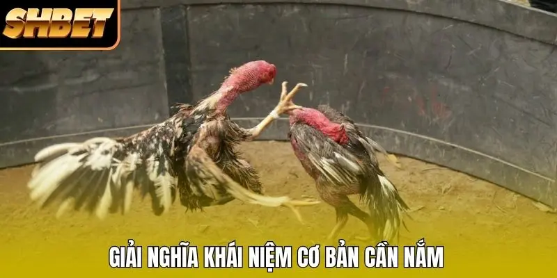 Giải nghĩa khái niệm cơ bản cần nắm Giải nghĩa khái niệm cơ bản cần nắm