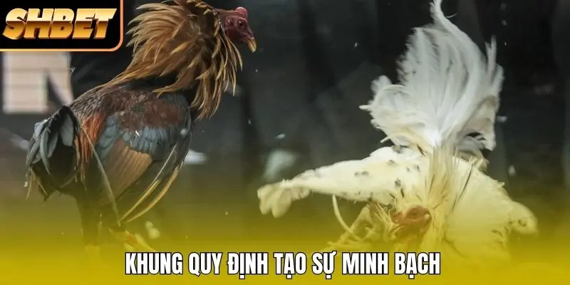 Khung quy định tạo sự minh bạch Khung quy định tạo sự minh bạch