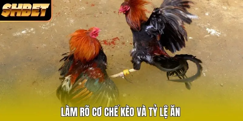 Làm rõ cơ chế kèo và tỷ lệ ăn Làm rõ cơ chế kèo và tỷ lệ ăn