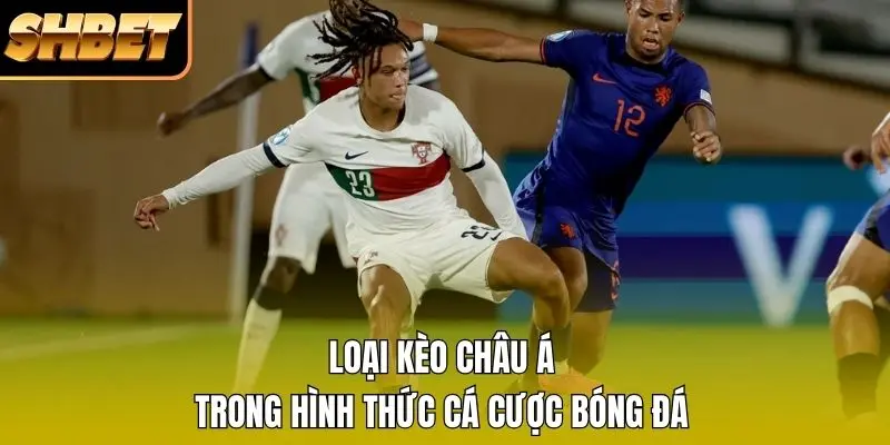 Loại kèo châu Á trong hình thức cá cược bóng đá Loại kèo châu Á trong hình thức cá cược bóng đá