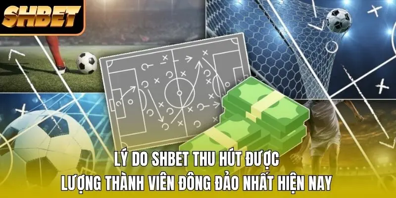 Lý do SHBET thu hút được lượng thành viên đông đảo nhất hiện nay Lý do SHBET thu hút được lượng thành viên đông đảo nhất hiện nay
