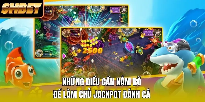 Những điều cần nắm rõ để làm chủ Jackpot đánh cá Những điều cần nắm rõ để làm chủ Jackpot đánh cá
