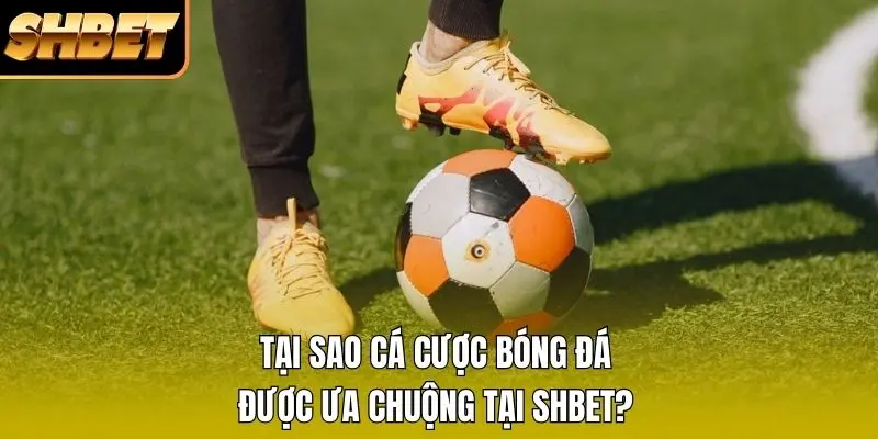 Tại sao cá cược bóng đá được ưa chuộng tại SHBET? Tại sao cá cược bóng đá được ưa chuộng tại SHBET?