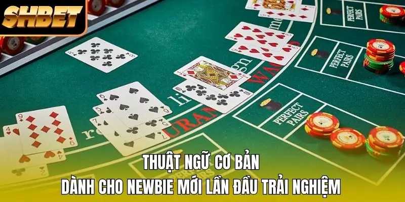 Thuật ngữ cơ bản dành cho newbie mới lần đầu trải nghiệm Thuật ngữ cơ bản dành cho newbie mới lần đầu trải nghiệm